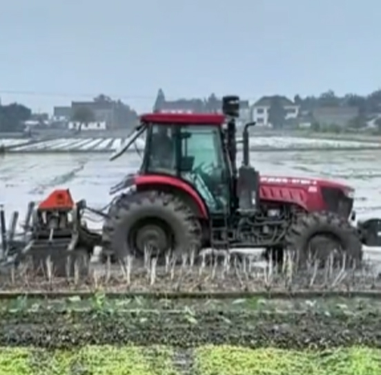 您負(fù)責(zé)統(tǒng)籌全局，它負(fù)責(zé)腳踏實(shí)地