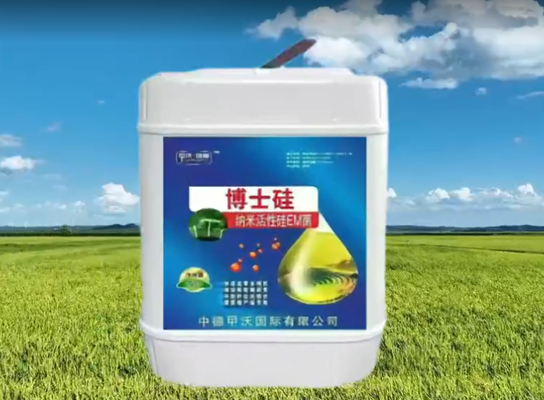 甲沃國際產(chǎn)品宣傳短視頻